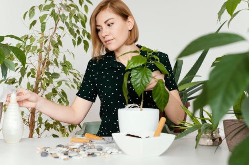 Why Science-Backed Plant Ingredients Are Central to Confident Skin Care