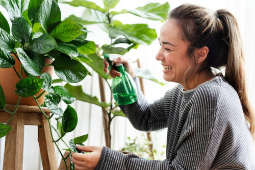 The Growing Preference for Plant-Derived Actives in Transparent Formulations