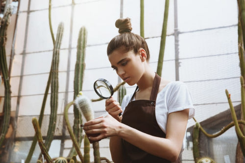 Science-Backed Botanicals Bridge Traditional Knowledge and Contemporary Dermatology