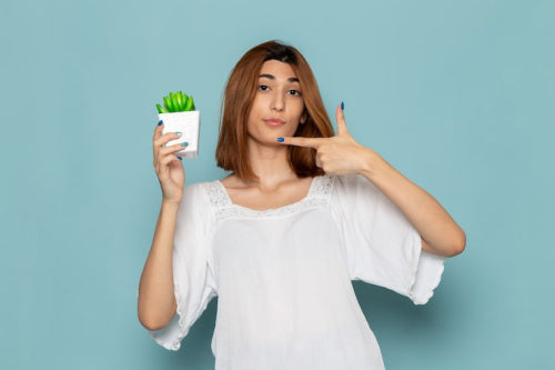 The Growing Demand for Vegan and Cruelty-Free Standards in Beauty Lines