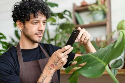 The Application of Traditional Plant Knowledge in Modern Grooming