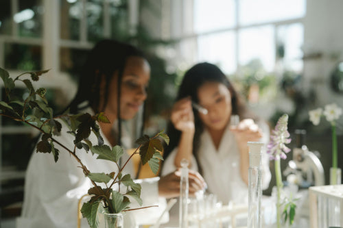 Balancing Tradition and Innovation in Plant-Derived Formulations