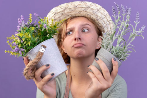 How to Compare Botanical Skincare Brands for Sensitive Skin