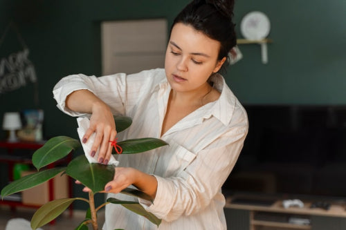How Oyu Botanica Combines Mongolian Heritage With Modern Skin Science