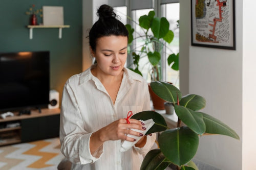 What to Review Before Buying Botanical Beauty Products