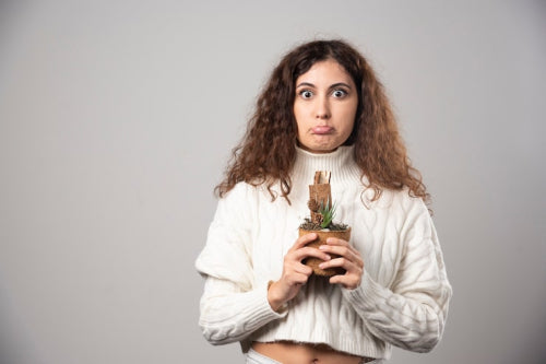 What to Know Before Choosing a Botanical Face Serum