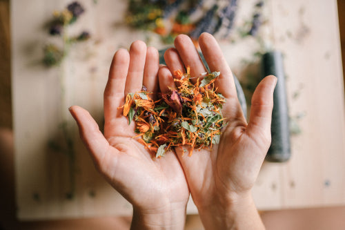 How Thoughtful Botanical Blends Contribute to Daily Skin Resilience