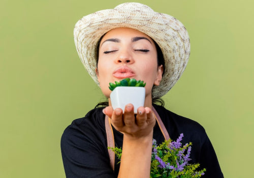 Top 10 Organic Skincare Brands For 2026