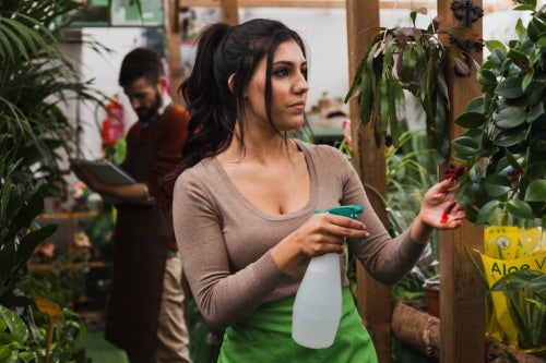 Sustainable Sourcing Becomes Central to Premium Natural Brands
