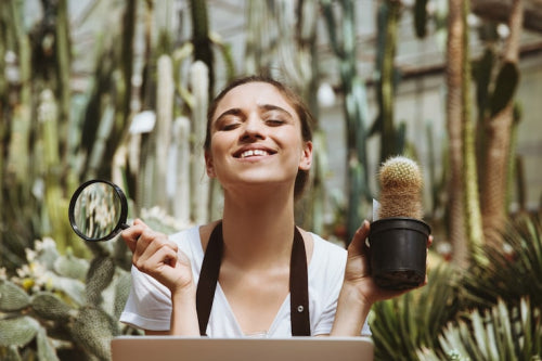 Clean Beauty Brands Leading the Charge for Sustainable Sourcing